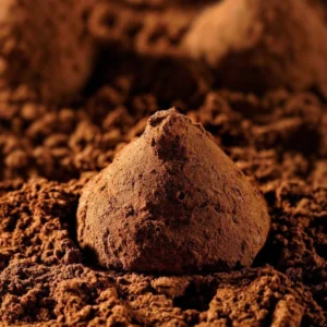 dark cocoa powder